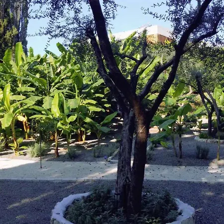La Fortuna - Award Winning Luxury Close To Corfu Town * Corfu (city)