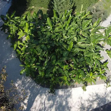 La Fortuna - Award Winning Luxury Close To Corfu Town Вилла